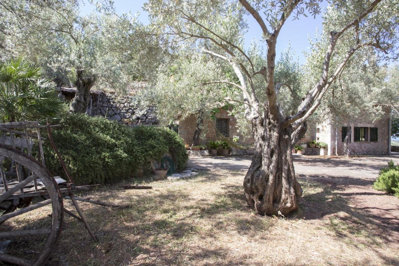 Villa Es Coco, Soller Port De Soller Bagian luar foto