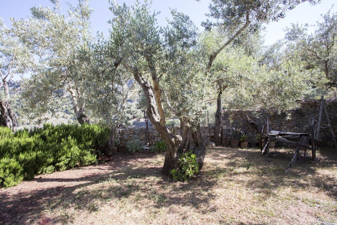 Villa Es Coco, Soller Port De Soller Bagian luar foto