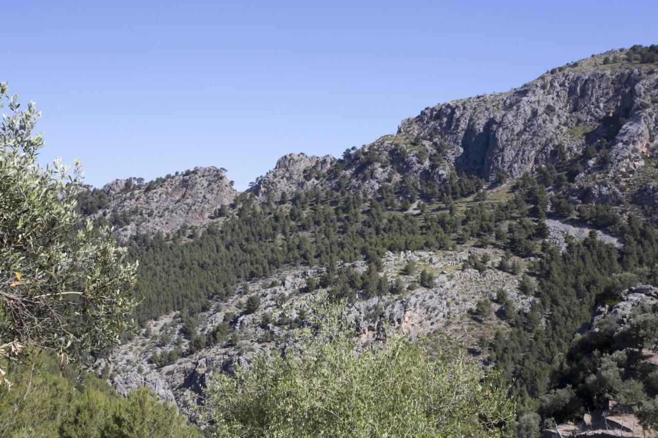 Villa Es Coco, Soller Port De Soller Bagian luar foto